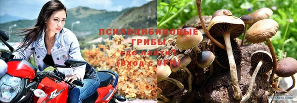 спиды Михайловка