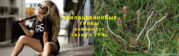 амф Навашино
