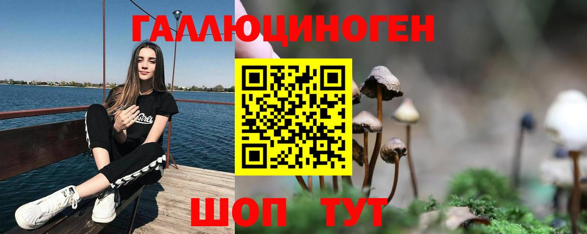 Псилоцибиновые грибы прущие грибы Саранск
